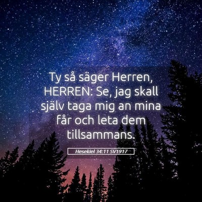 Picture 05 - Hesekiel 34:11 SV1917 - Ty så säger Herren, HERREN: Se, jag skall - Bible Verse Picture