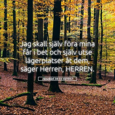 Picture 05 - Hesekiel 34:15 SV1917 - Jag skall själv föra mina får i bet och själv - Bible Verse Picture