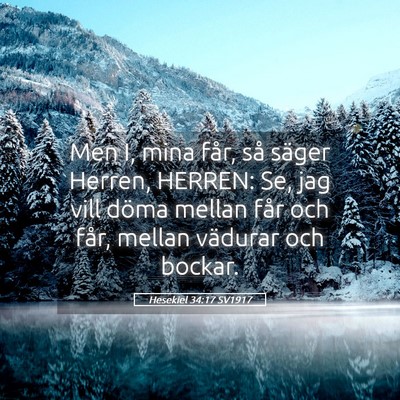 Picture 05 - Hesekiel 34:17 SV1917 - Men I, mina får, så säger Herren, HERREN: Se, - Bible Verse Picture