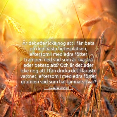 Picture 05 - Hesekiel 34:18 SV1917 - Är det eder icke nog att I fån beta på den - Bible Verse Picture