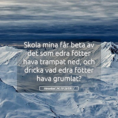 Picture 05 - Hesekiel 34:19 SV1917 - Skola mina får beta av det som edra fötter hava - Bible Verse Picture