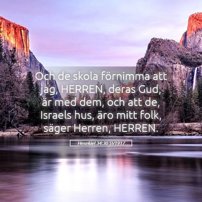 Picture 05 - Hesekiel 34:30 SV1917 - Och de skola förnimma att jag, HERREN, deras - Bible Verse Picture