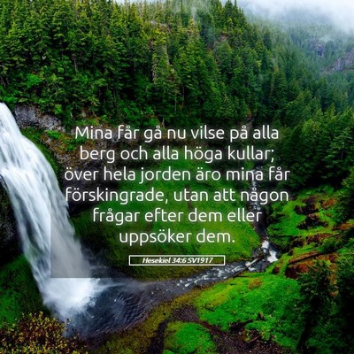 Picture 05 - Hesekiel 34:6 SV1917 - Mina får gå nu vilse på alla berg och alla - Bible Verse Picture