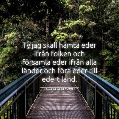 Picture 05 - Hesekiel 36:24 SV1917 - Ty jag skall hämta eder ifrån folken och - Bible Verse Picture