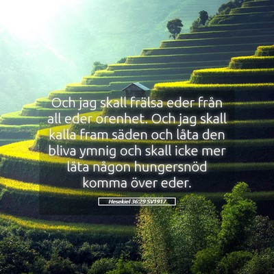 Picture 05 - Hesekiel 36:29 SV1917 - Och jag skall frälsa eder från all eder - Bible Verse Picture