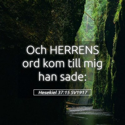 Picture 05 - Hesekiel 37:15 SV1917 - Och HERRENS ord kom till mig han - Bible Verse Picture