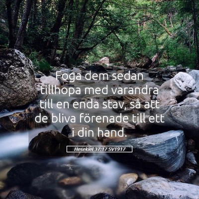Picture 05 - Hesekiel 37:17 SV1917 - Foga dem sedan tillhopa med varandra till en enda - Bible Verse Picture