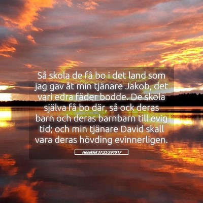 Picture 05 - Hesekiel 37:25 SV1917 - Så skola de få bo i det land som jag gav åt - Bible Verse Picture