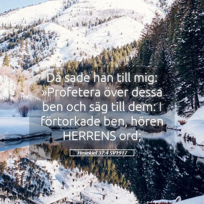 Picture 05 - Hesekiel 37:4 SV1917 - Då sade han till mig: »Profetera över dessa - Bible Verse Picture