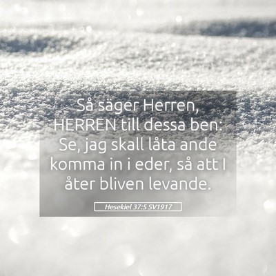 Picture 05 - Hesekiel 37:5 SV1917 - Så säger Herren, HERREN till dessa ben: Se, jag - Bible Verse Picture