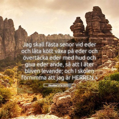 Picture 05 - Hesekiel 37:6 SV1917 - Jag skall fästa senor vid eder och låta kött - Bible Verse Picture