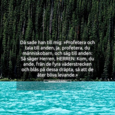 Picture 05 - Hesekiel 37:9 SV1917 - Då sade han till mig: »Profetera och tala till - Bible Verse Picture