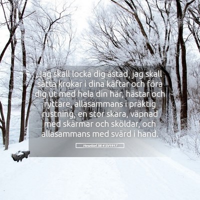 Picture 05 - Hesekiel 38:4 SV1917 - Jag skall locka dig åstad, jag skall sätta - Bible Verse Picture
