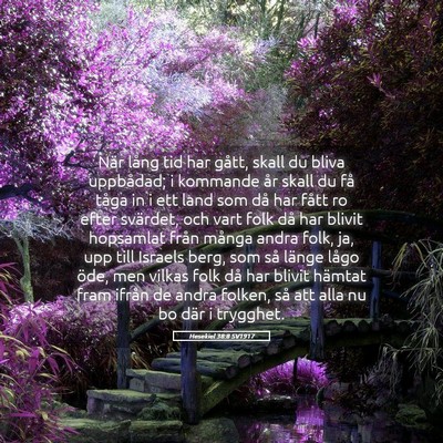 Picture 05 - Hesekiel 38:8 SV1917 - När lång tid har gått, skall du bliva - Bible Verse Picture