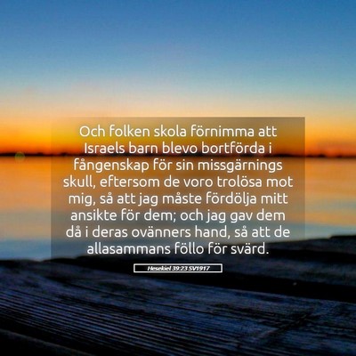 Picture 05 - Hesekiel 39:23 SV1917 - Och folken skola förnimma att Israels barn blevo - Bible Verse Picture