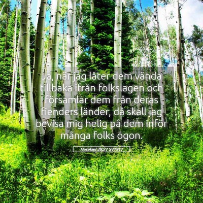 Picture 05 - Hesekiel 39:27 SV1917 - Ja, när jag låter dem vända tillbaka ifrån - Bible Verse Picture