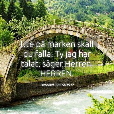 Picture 05 - Hesekiel 39:5 SV1917 - Ute på marken skall du falla. Ty jag har talat, - Bible Verse Picture