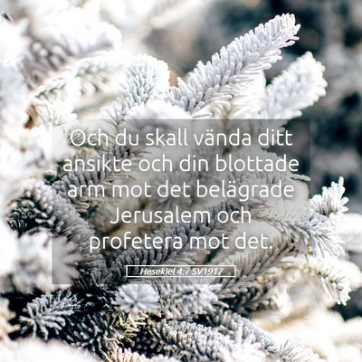 Picture 05 - Hesekiel 4:7 SV1917 - Och du skall vända ditt ansikte och din blottade - Bible Verse Picture