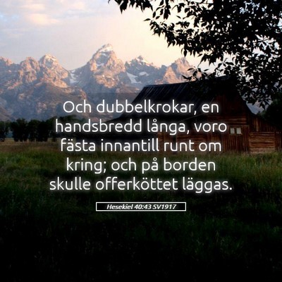 Picture 05 - Hesekiel 40:43 SV1917 - Och dubbelkrokar, en handsbredd långa, voro - Bible Verse Picture