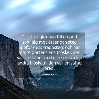 Picture 05 - Hesekiel 40:6 SV1917 - Därefter gick han till en port som låg mot - Bible Verse Picture