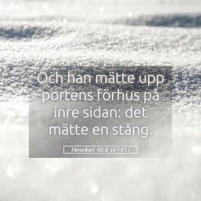Picture 05 - Hesekiel 40:8 SV1917 - Och han mätte upp portens förhus på inre - Bible Verse Picture