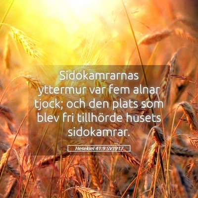 Picture 05 - Hesekiel 41:9 SV1917 - Sidokamrarnas yttermur var fem alnar tjock; och - Bible Verse Picture