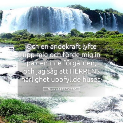 Picture 05 - Hesekiel 43:5 SV1917 - Och en andekraft lyfte upp mig och förde mig in - Bible Verse Picture
