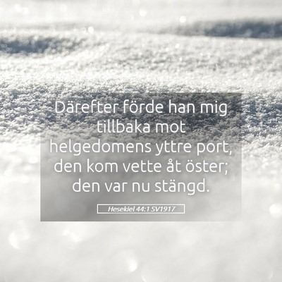 Picture 05 - Hesekiel 44:1 SV1917 - Därefter förde han mig tillbaka mot helgedomens - Bible Verse Picture
