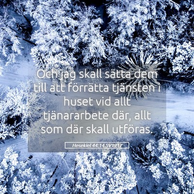 Picture 05 - Hesekiel 44:14 SV1917 - Och jag skall sätta dem till att förrätta - Bible Verse Picture