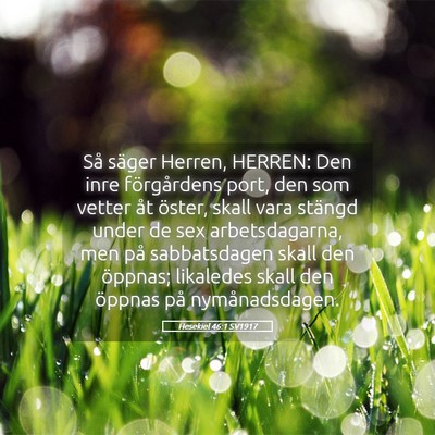 Picture 05 - Hesekiel 46:1 SV1917 - Så säger Herren, HERREN: Den inre förgårdens - Bible Verse Picture