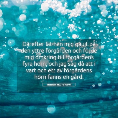 Picture 05 - Hesekiel 46:21 SV1917 - Därefter lät han mig gå ut på den yttre - Bible Verse Picture