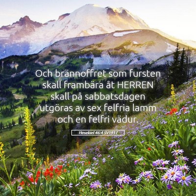 Picture 05 - Hesekiel 46:4 SV1917 - Och brännoffret som fursten skall frambära åt - Bible Verse Picture