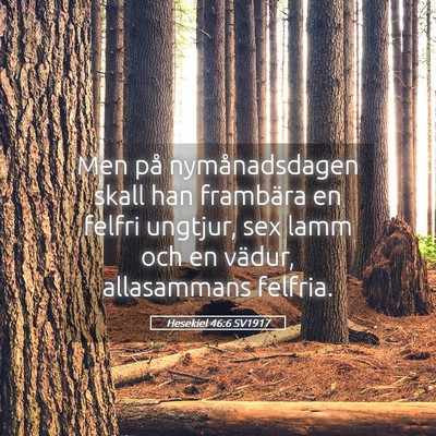 Picture 05 - Hesekiel 46:6 SV1917 - Men på nymånadsdagen skall han frambära en - Bible Verse Picture