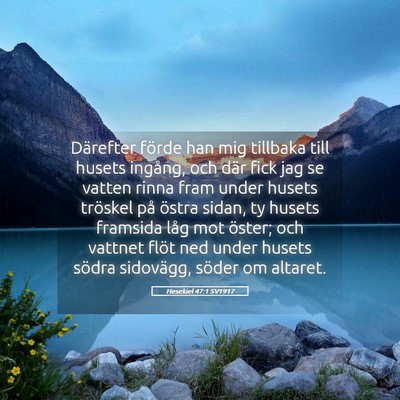 Picture 05 - Hesekiel 47:1 SV1917 - Därefter förde han mig tillbaka till husets - Bible Verse Picture
