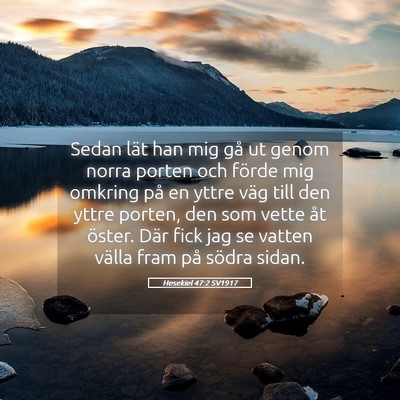 Picture 05 - Hesekiel 47:2 SV1917 - Sedan lät han mig gå ut genom norra porten och - Bible Verse Picture