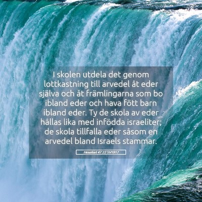 Picture 05 - Hesekiel 47:22 SV1917 - I skolen utdela det genom lottkastning till - Bible Verse Picture