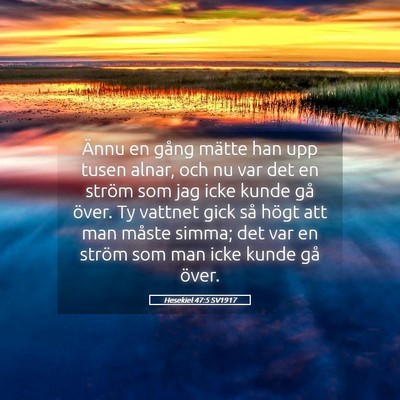 Picture 05 - Hesekiel 47:5 SV1917 - Ännu en gång mätte han upp tusen alnar, och nu - Bible Verse Picture