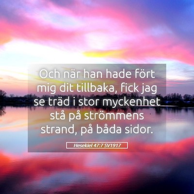 Picture 05 - Hesekiel 47:7 SV1917 - Och när han hade fört mig dit tillbaka, fick - Bible Verse Picture