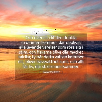 Picture 05 - Hesekiel 47:9 SV1917 - Och överallt dit den dubbla strömmen kommer, - Bible Verse Picture