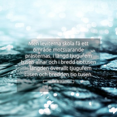 Picture 05 - Hesekiel 48:13 SV1917 - Men leviterna skola få ett område motsvarande - Bible Verse Picture