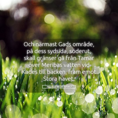 Picture 05 - Hesekiel 48:28 SV1917 - Och närmast Gads område, på dess sydsida, - Bible Verse Picture