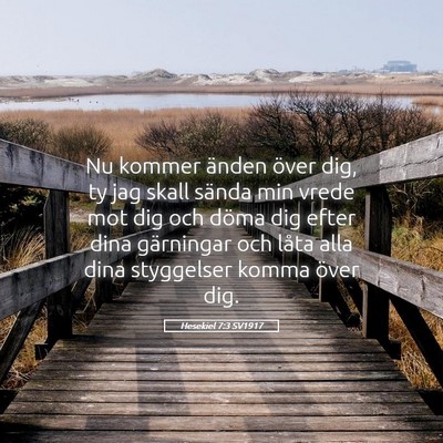 Picture 05 - Hesekiel 7:3 SV1917 - Nu kommer änden över dig, ty jag skall sända - Bible Verse Picture