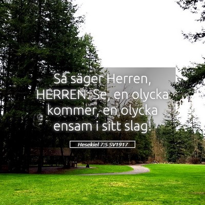 Picture 05 - Hesekiel 7:5 SV1917 - Så säger Herren, HERREN: Se, en olycka kommer, - Bible Verse Picture