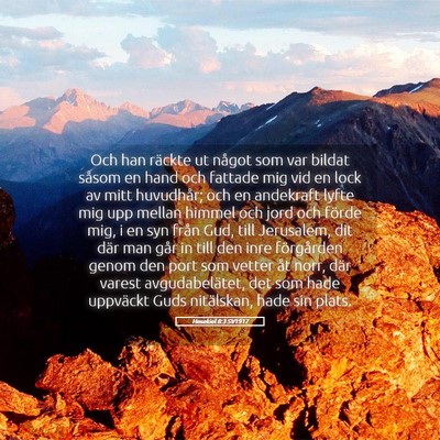 Picture 05 - Hesekiel 8:3 SV1917 - Och han räckte ut något som var bildat såsom - Bible Verse Picture