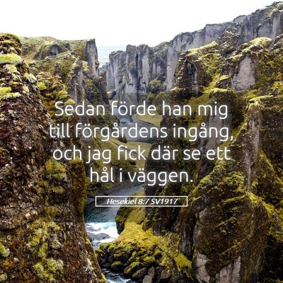 Picture 05 - Hesekiel 8:7 SV1917 - Sedan förde han mig till förgårdens ingång, - Bible Verse Picture