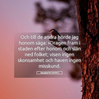 Picture 05 - Hesekiel 9:5 SV1917 - Och till de andra hörde jag honom säga: - Bible Verse Picture