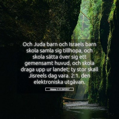 Picture 05 - Hosea 1:11 SV1917 - Och Juda barn och Israels barn skola samla sig - Bible Verse Picture