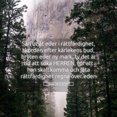 Picture 05 - Hosea 10:12 SV1917 - Sån ut åt eder i rättfärdighet, skörden - Bible Verse Picture
