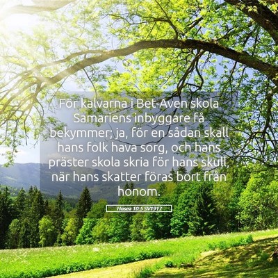 Picture 05 - Hosea 10:5 SV1917 - För kalvarna i Bet-Aven skola Samariens - Bible Verse Picture
