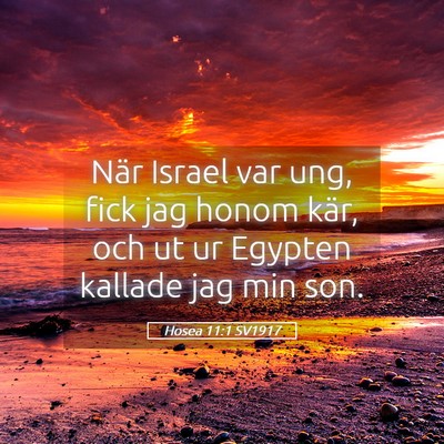 Picture 05 - Hosea 11:1 SV1917 - När Israel var ung, fick jag honom kär, och ut - Bible Verse Picture